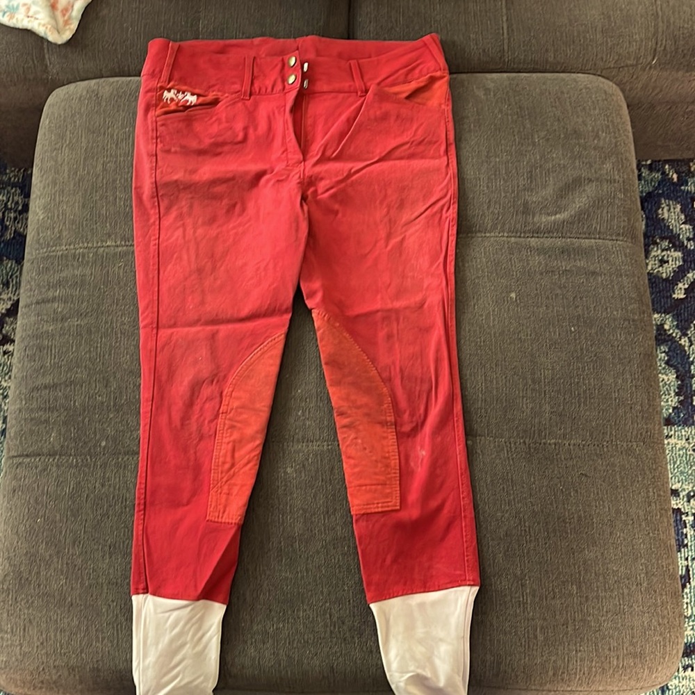 Equine Couture red breeches